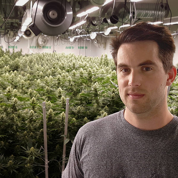 David Bernard-Perron posing in front of an indoor crop of marijuana
