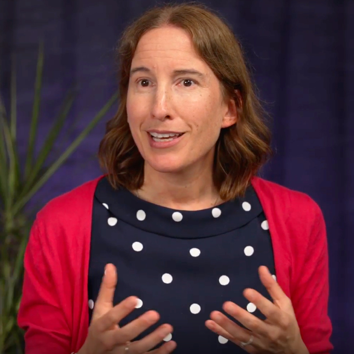 Dr. Jill Baumgartner